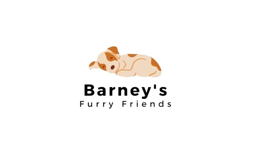 Barney's Furry Friends