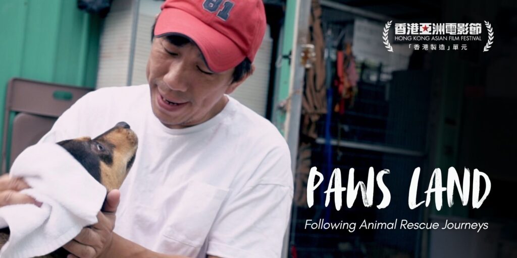 Paws Land - Following animal rescue journeys